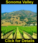 Wine Country Tours Logo